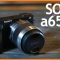 10 Rekomendasi Kamera Mirrorless Terbaik Merk Sony